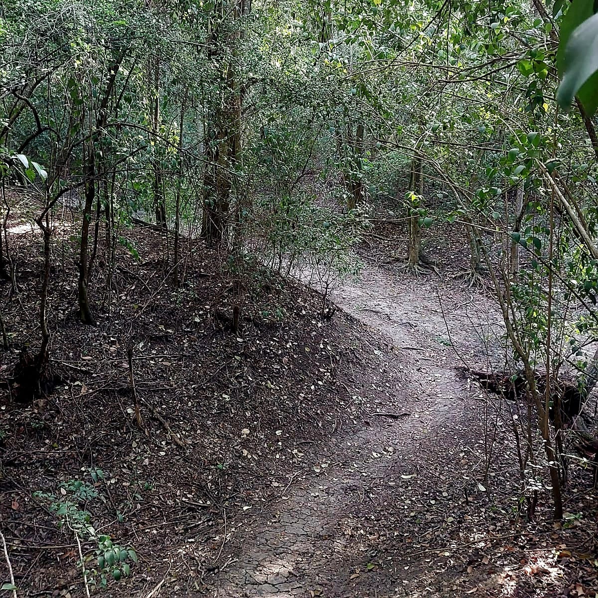 Denuncian trampas peligrosas en sendero del parque La Aventura